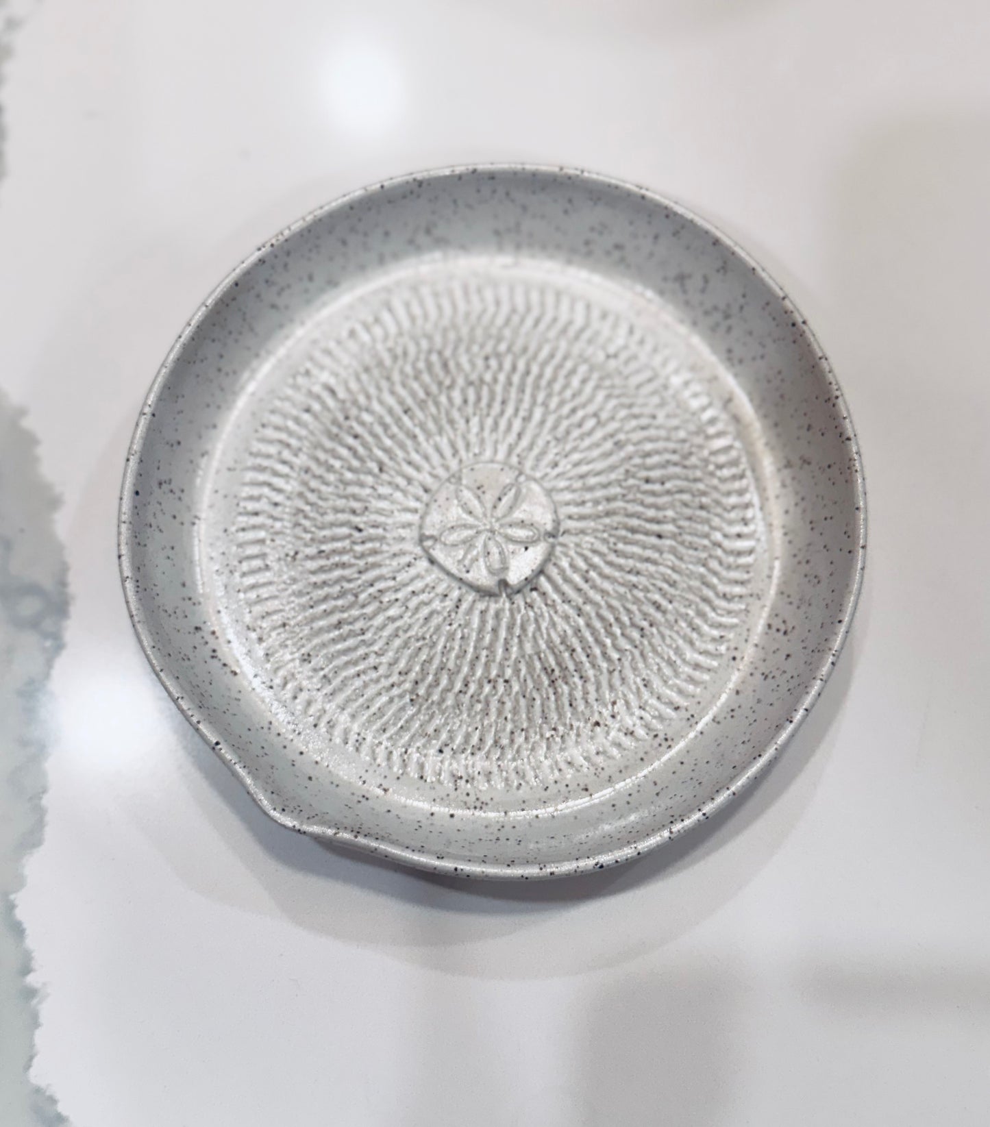Sand Dollar Garlic Grater, Hand built, 5.5"w, 1"h